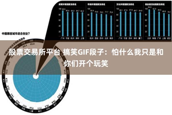 股票交易所平台 搞笑GIF段子：怕什么我只是和你们开个玩笑