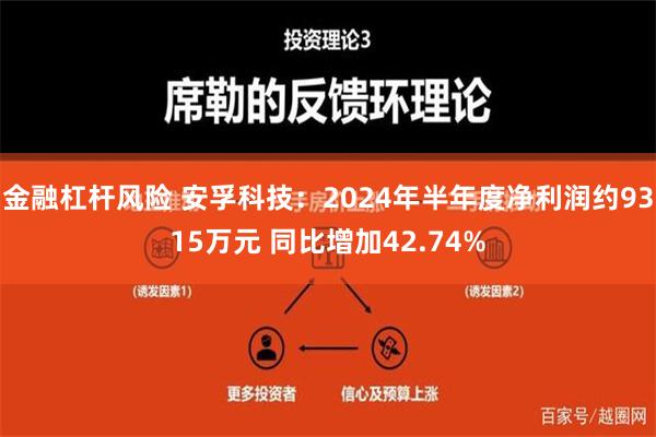 金融杠杆风险 安孚科技：2024年半年度净利润约9315万元 同比增加42.74%