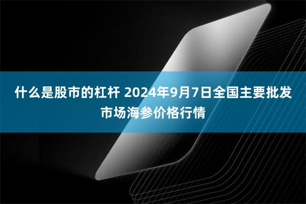 什么是股市的杠杆 2024年9月7日全国主要批发市场海参价格行情