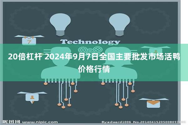 20倍杠杆 2024年9月7日全国主要批发市场活鸭价格行情