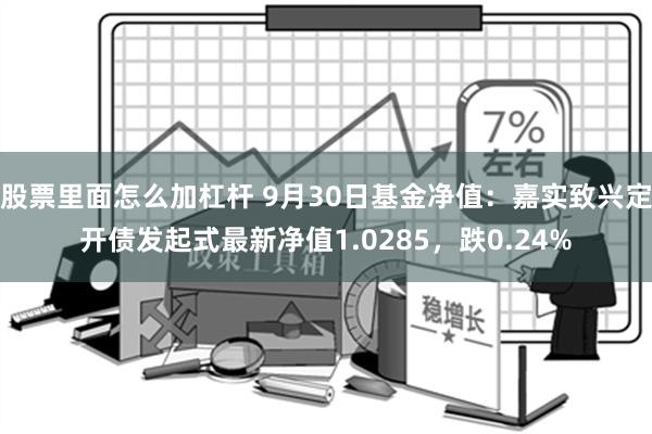 股票里面怎么加杠杆 9月30日基金净值：嘉实致兴定开债发起式最新净值1.0285，跌0.24%