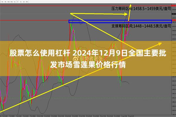 股票怎么使用杠杆 2024年12月9日全国主要批发市场雪莲果价格行情