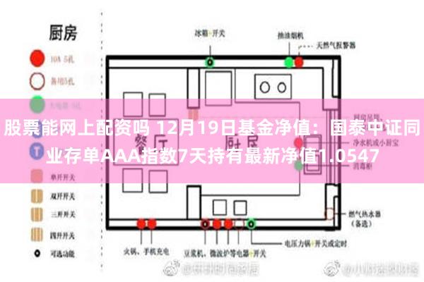 股票能网上配资吗 12月19日基金净值：国泰中证同业存单AAA指数7天持有最新净值1.0547