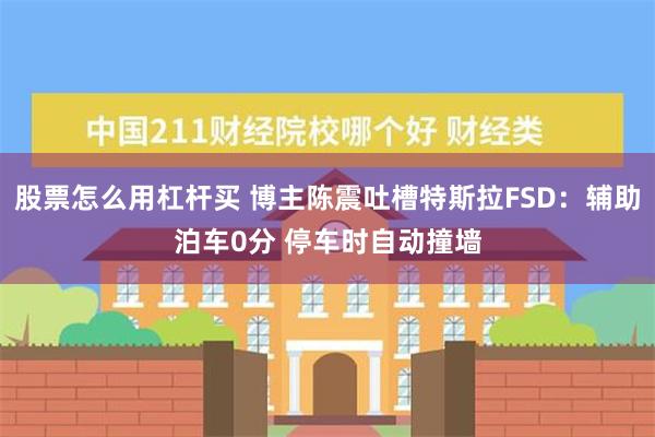 股票怎么用杠杆买 博主陈震吐槽特斯拉FSD：辅助泊车0分 停车时自动撞墙