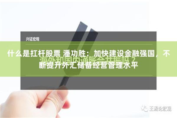 什么是扛杆股票 潘功胜：加快建设金融强国，不断提升外汇储备经营管理水平