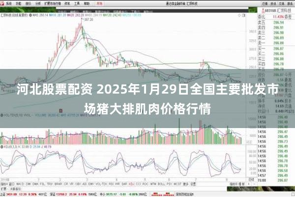 河北股票配资 2025年1月29日全国主要批发市场猪大排肌肉价格行情